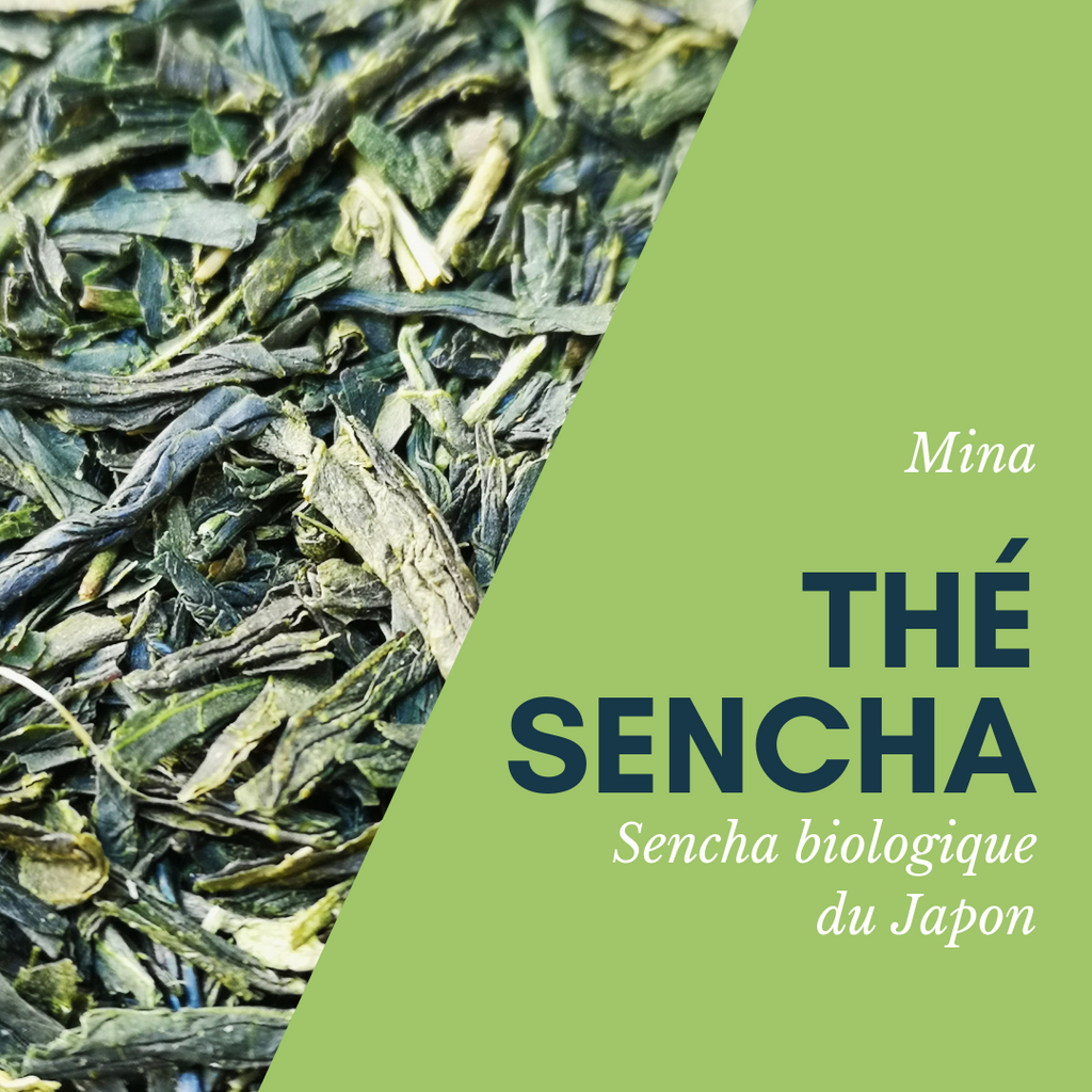 Sachet de thé vert bio Sencha Mina d'Uji